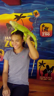 Jamaica Zoo - Tourist Attractions & Amusement Places